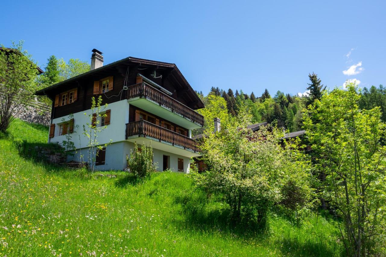 Chalet Orion Bellwald Exterior photo